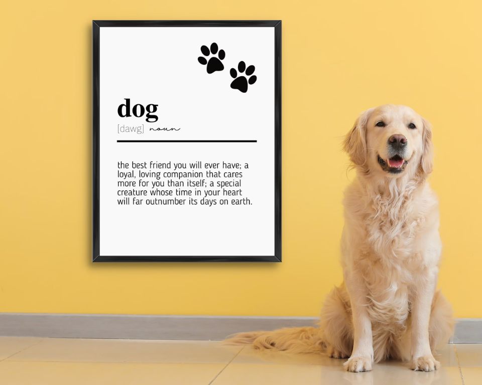 meaning of 'dog' slang