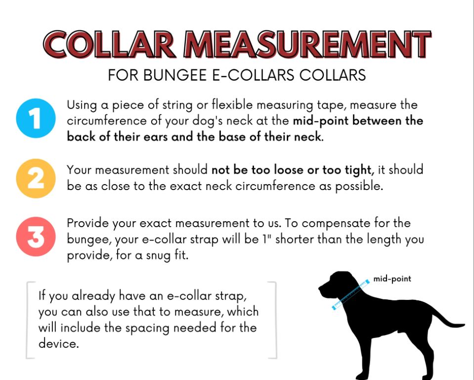 measuring space between dog's neck and e-collar