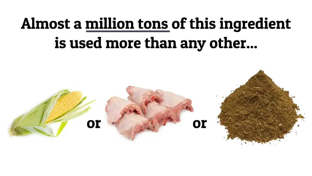 meat ingredients used in dog food