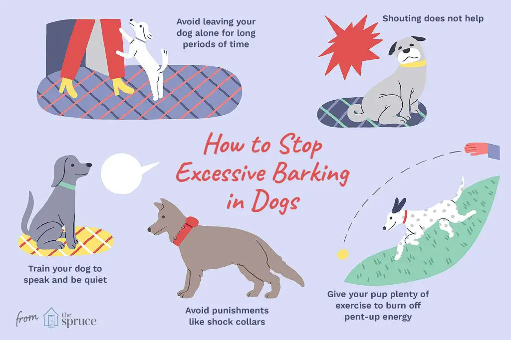 medical conditions can prevent barking