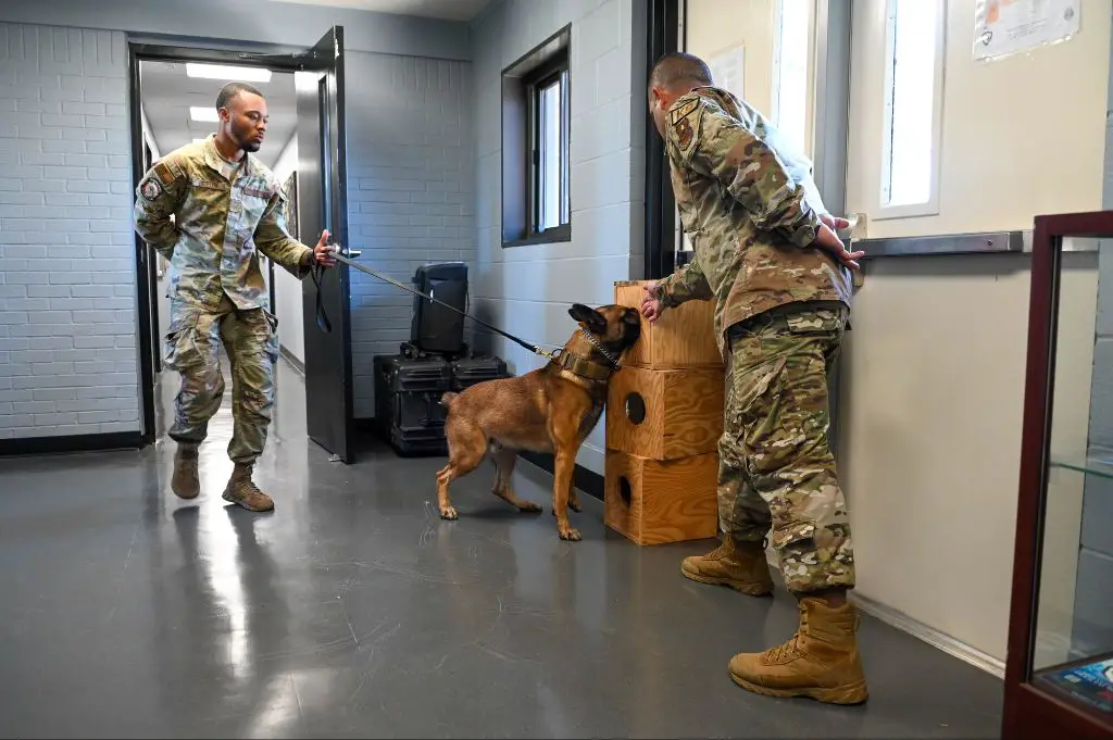 military working dog deployments
