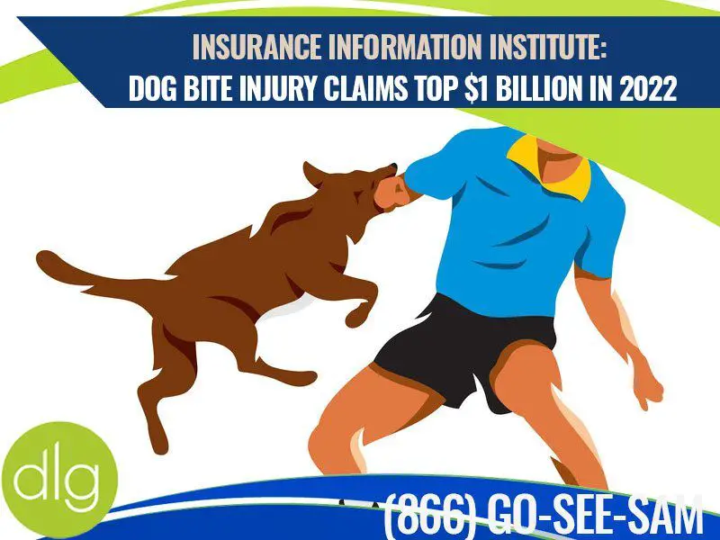 more severe dog bite injuries increase liability and compensation.