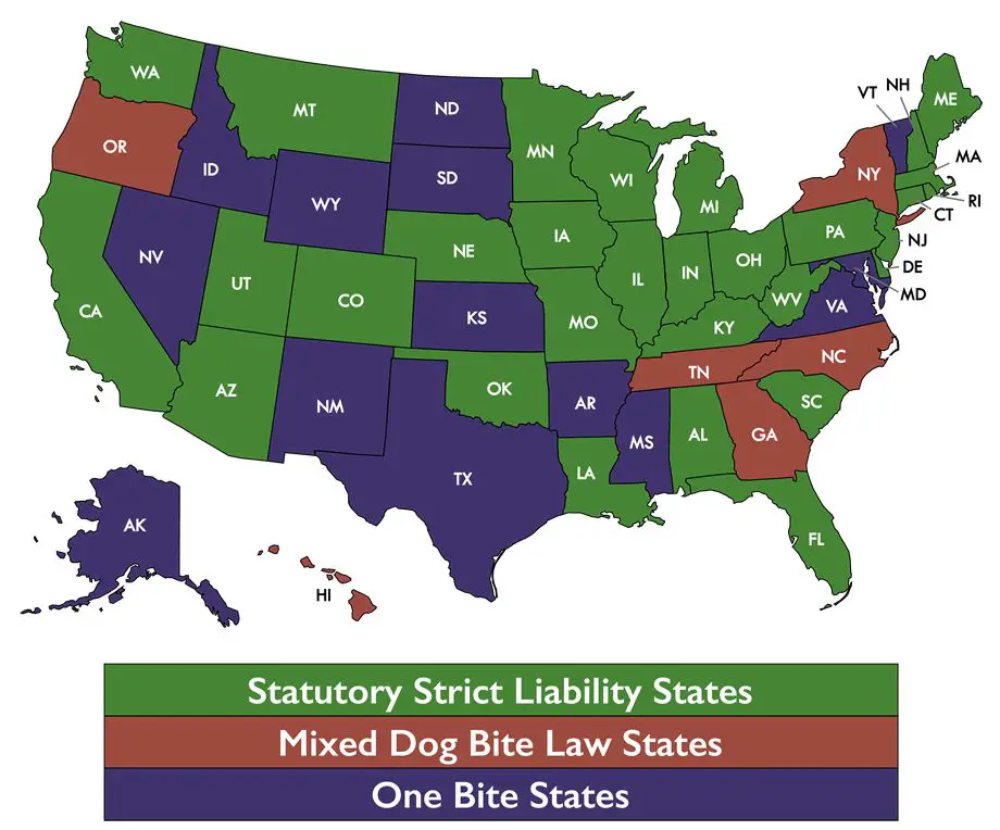 most states impose strict liability for dog bites on the owner's property.