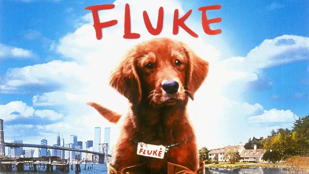 movie poster for fluke