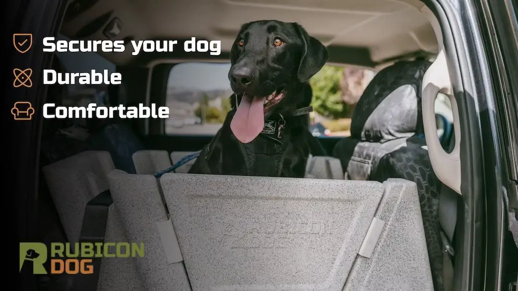 new innovative materials being used for dog car seats