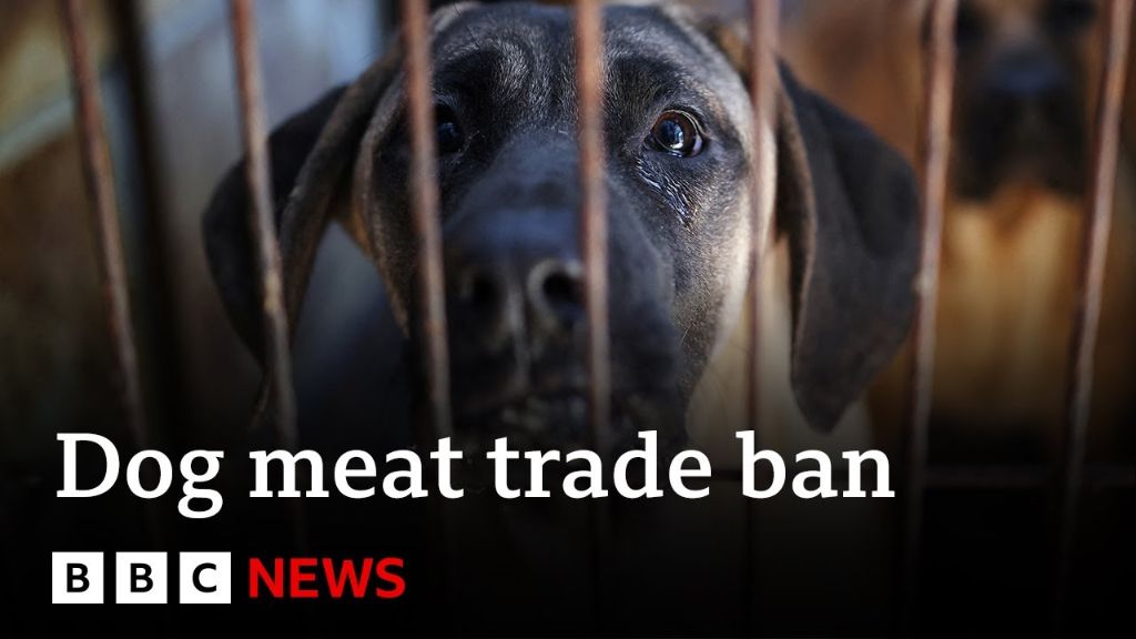 new laws banning dog meat trade