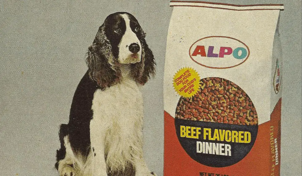 old advertisement for commercial dog food