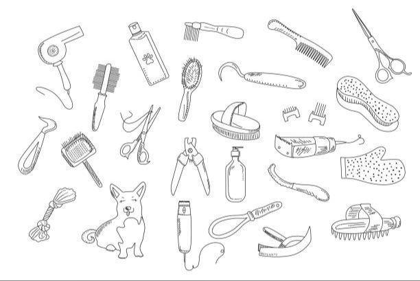 old illustration of dog grooming tools