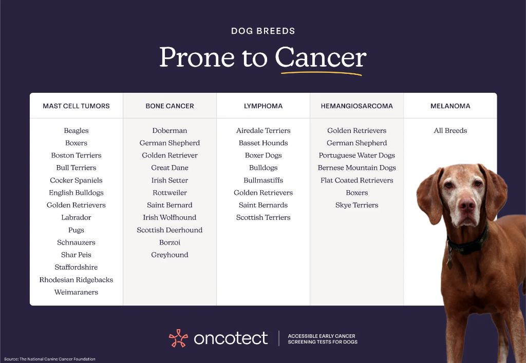 other diagnostic tests for cancers