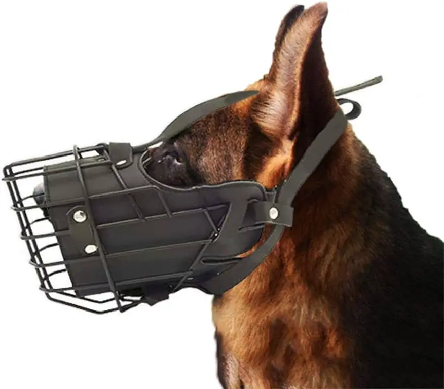 owner adjusting straps on dog's backpack carrier