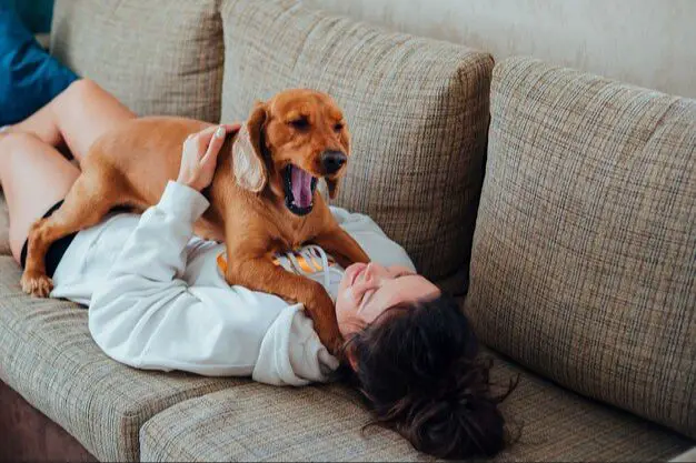 owner comforting dog that yawns frequently