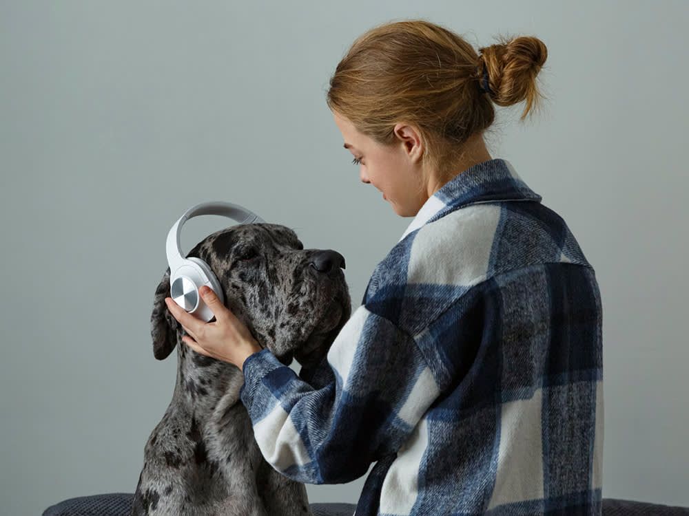 owner gently putting noise dampening ear muffs onto a dog