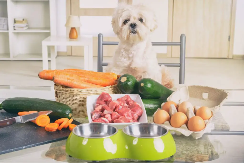 owner preparing homemade dog food