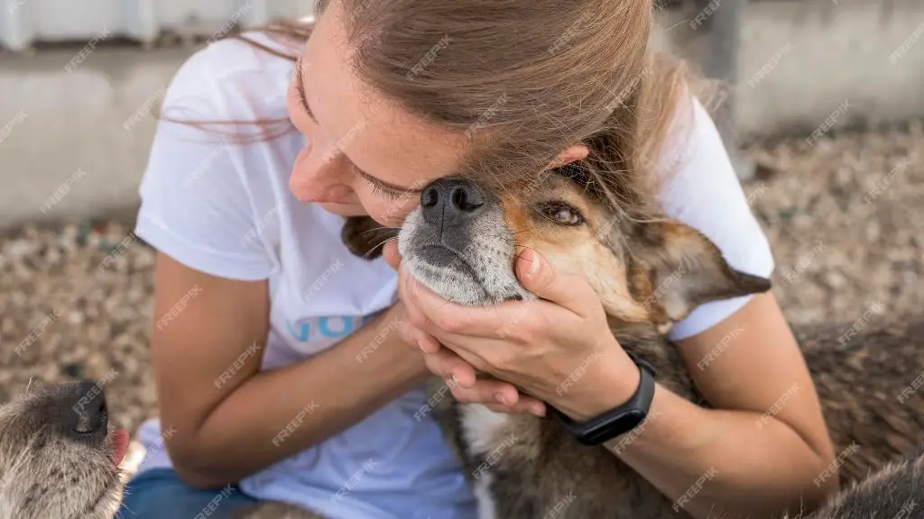 owner providing affection to comfort dog with cancer