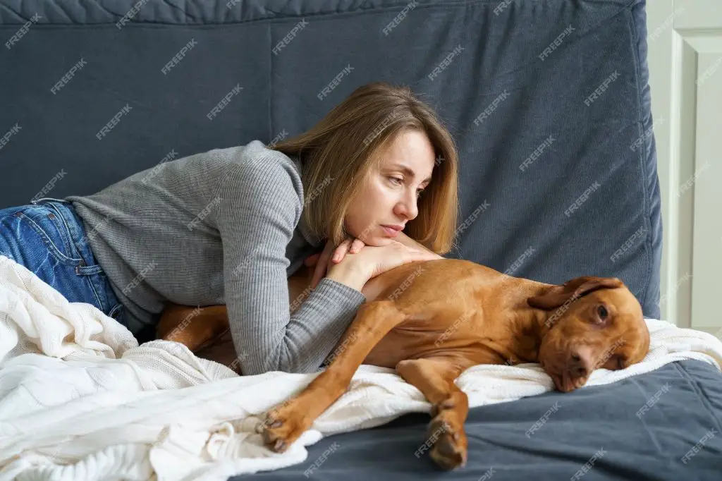 owner providing comfort to dog with advanced cancer