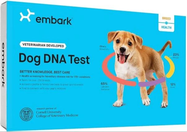 owner reviewing dog dna test kit