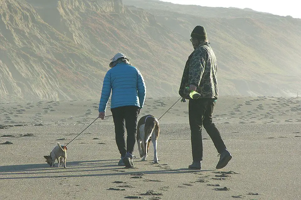 owner walking dog on ship island trail