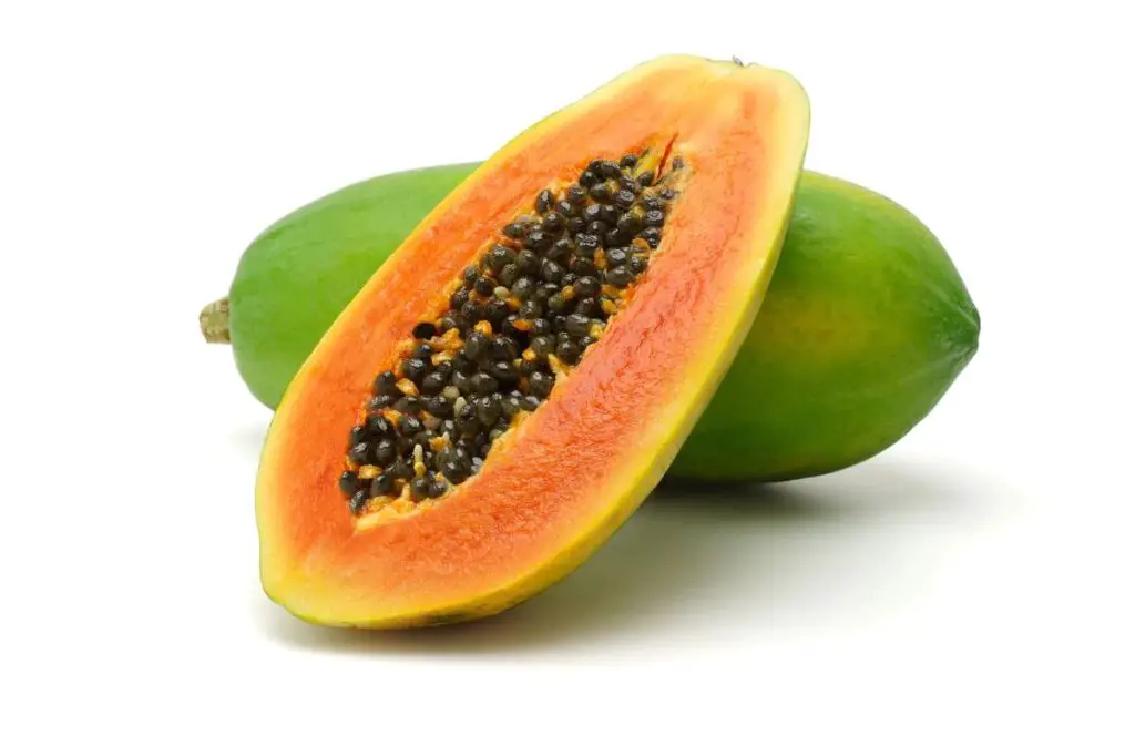 papaya fruit that contains compounds which may induce abortion