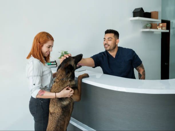 person and dog at vet clinic