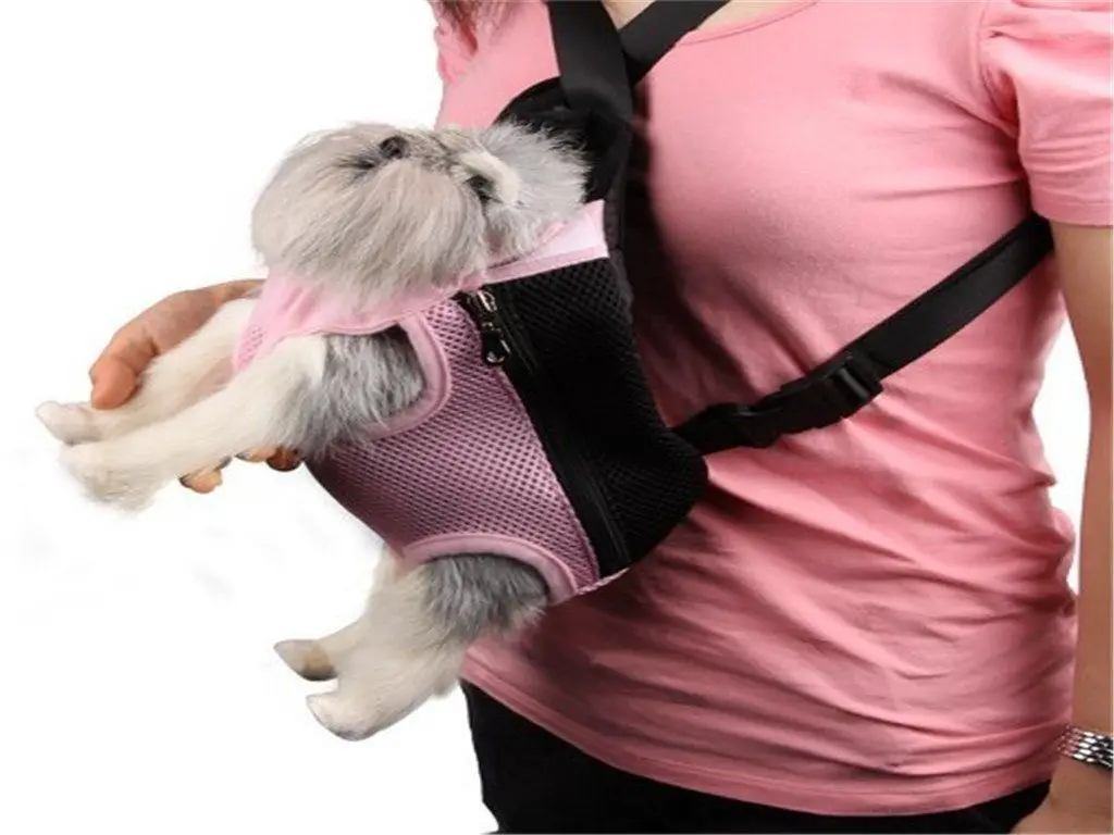 person carrying a dog in a front-facing dog carrier