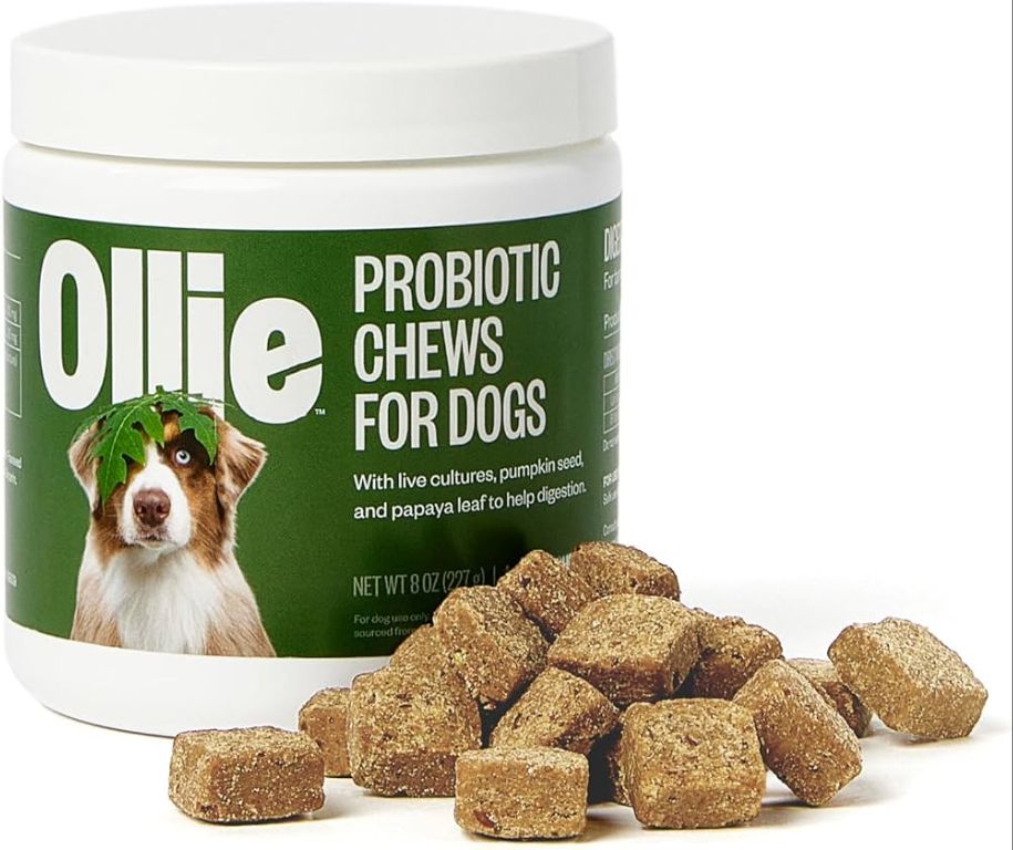 person comparing different dog probiotic supplements