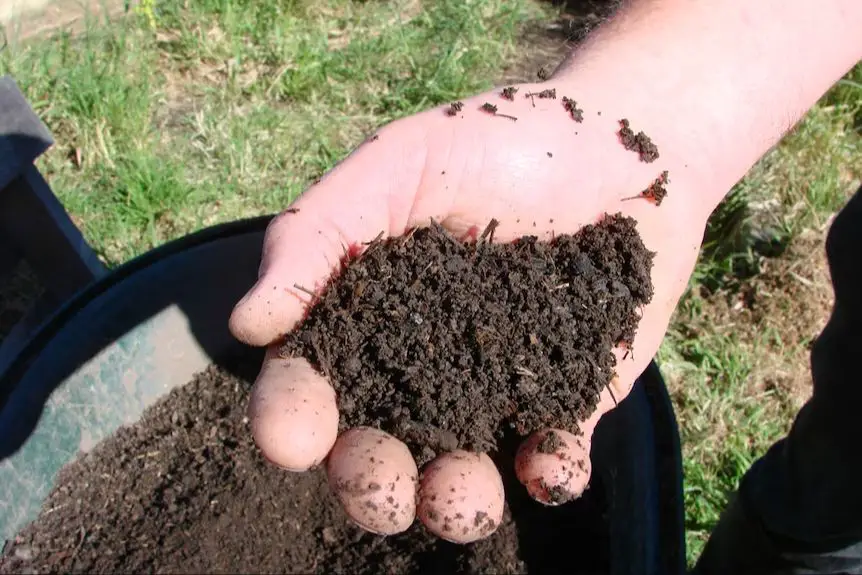 person composting dog poop