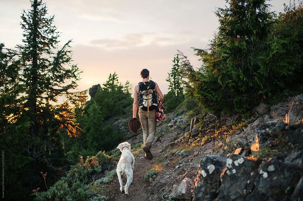 person hiking with their dog