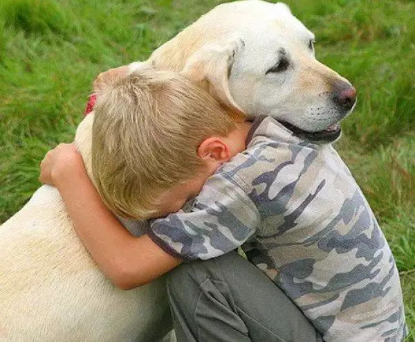 person hugging crying dog