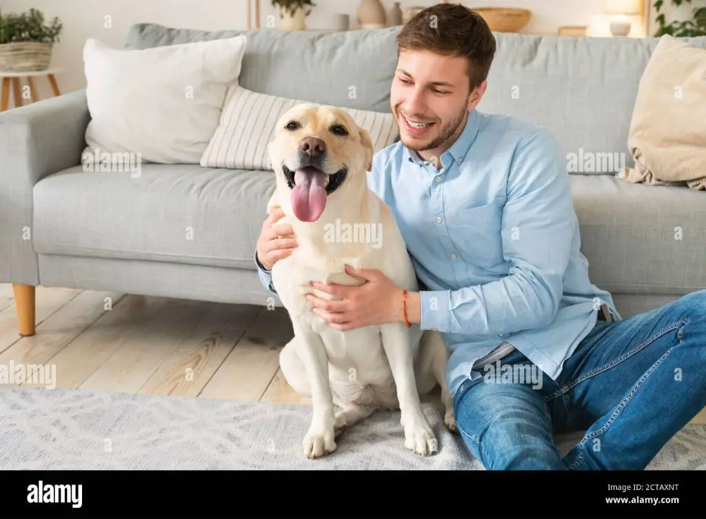 person hugging dog on couch