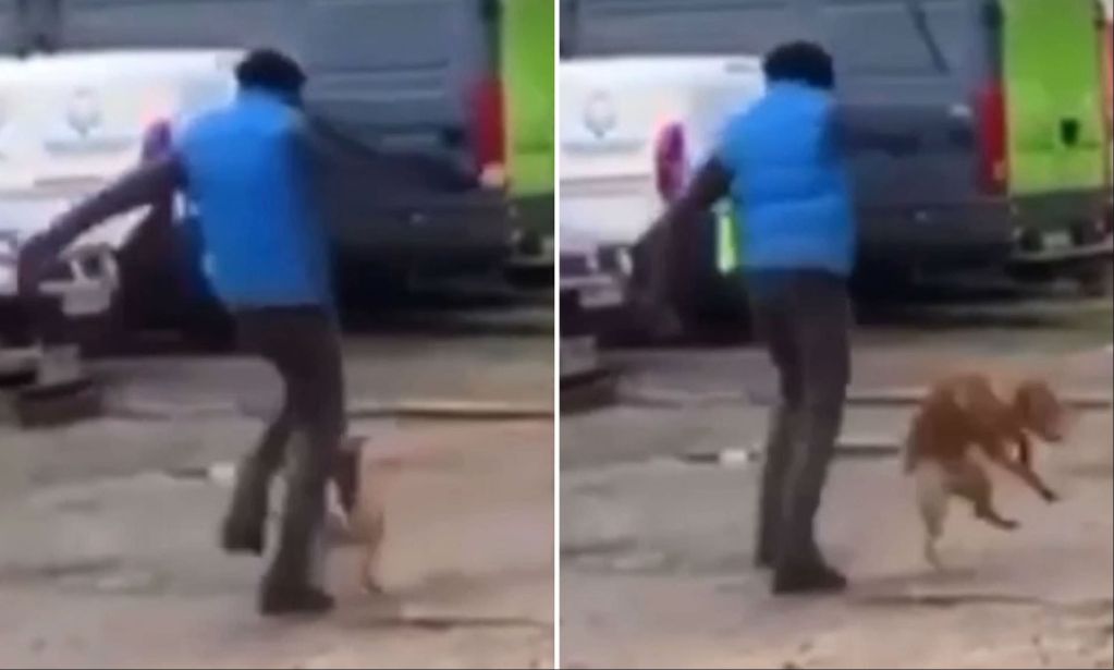 person kicking towards a dog as a last resort