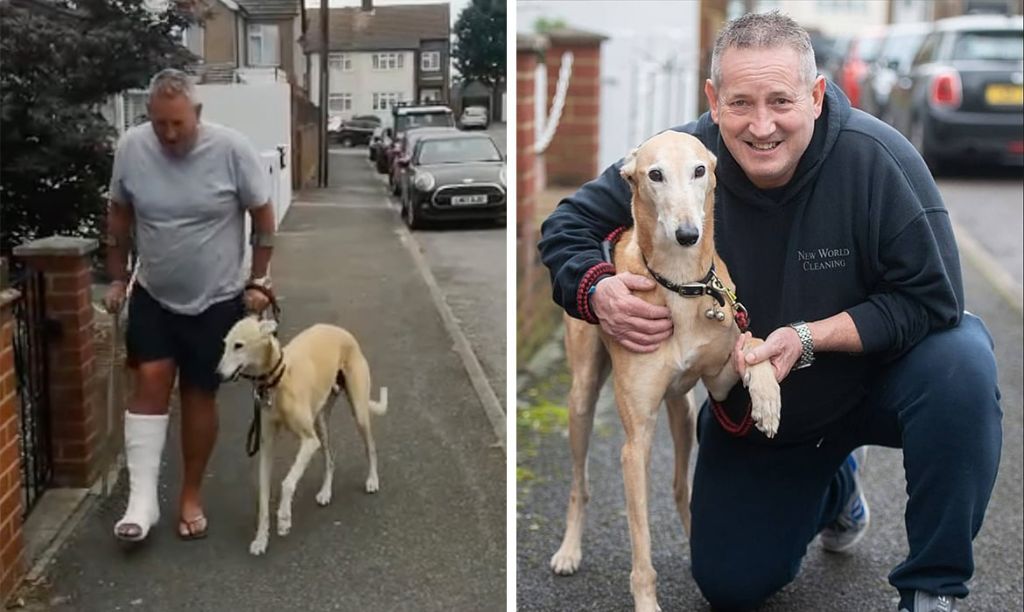 person observing limping dog