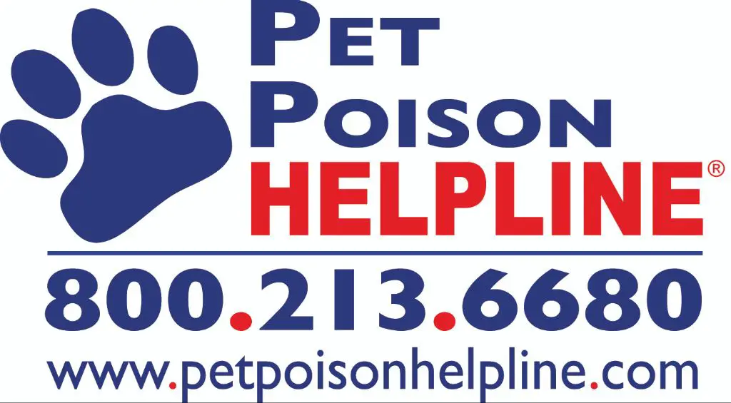 person on phone calling poison control hotline