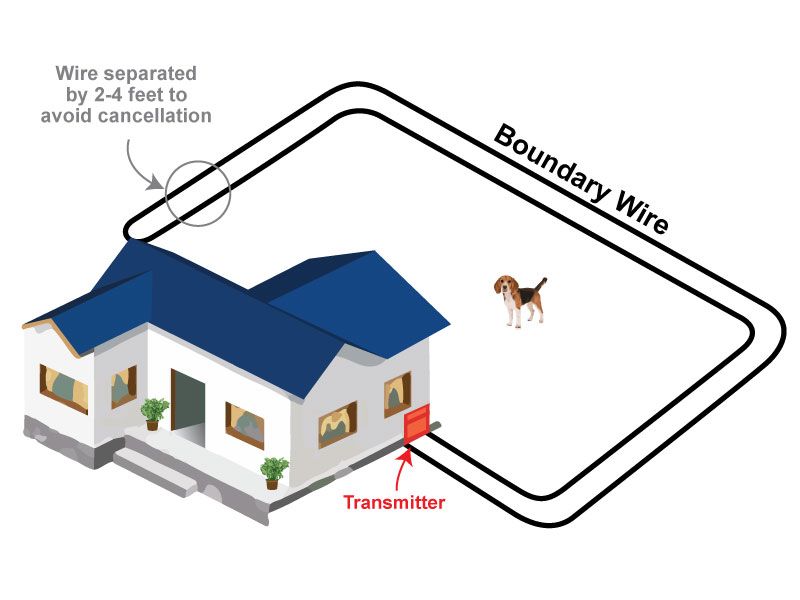 person planning layout of underground dog fence