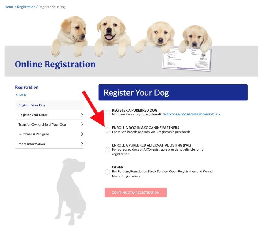 person reading a dog breed registry document