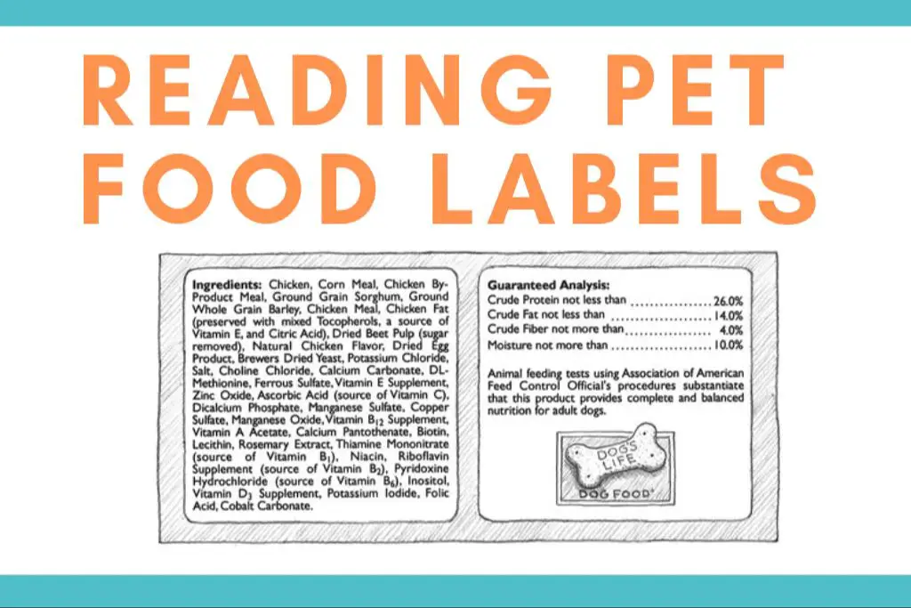 person reading a dog food label