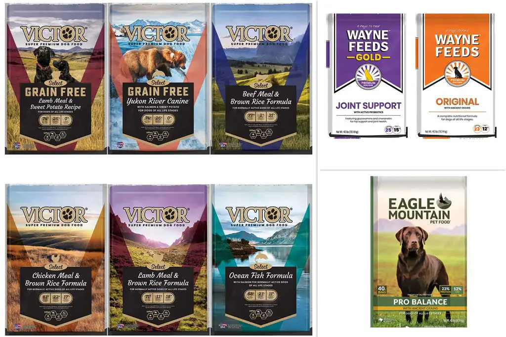 person reading pet food recall announcement