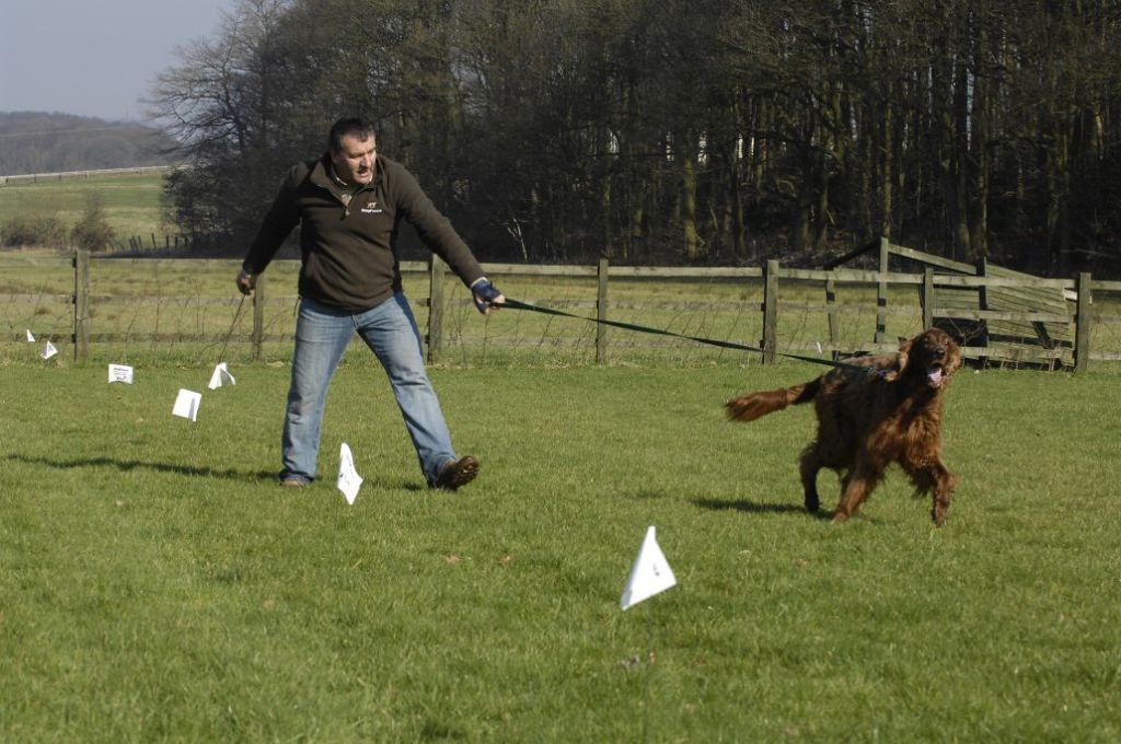 person training dog on electric fence boundaries