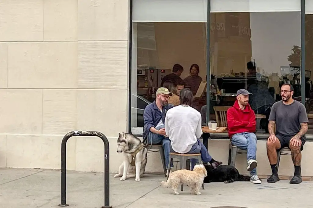 person walking dog near shops and restaurants 