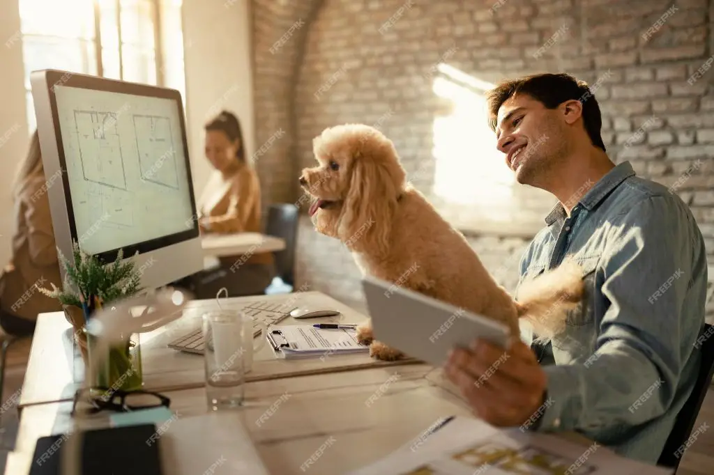 person working at a desk in an office 