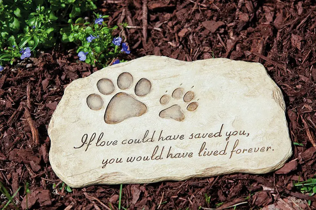 pet loss memorial ceremony