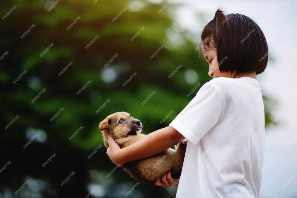 petting and playing are safer bonding alternatives to kissing