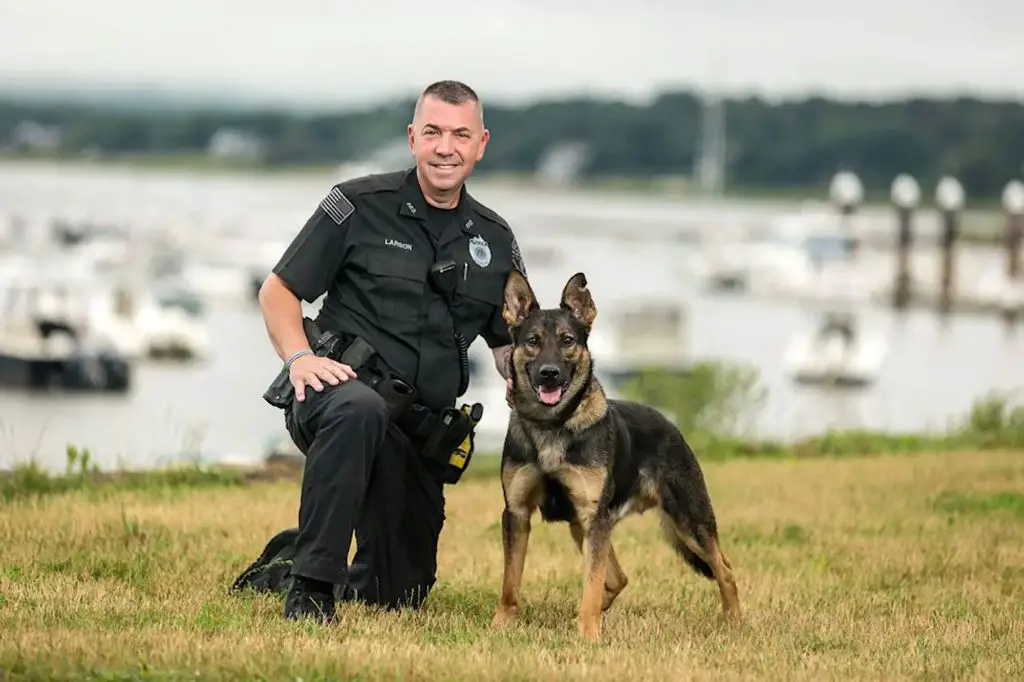 police officer working with police dog