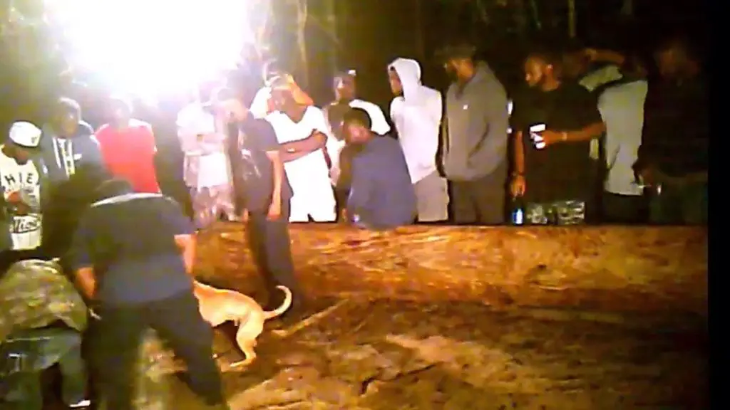 police raiding an illegal dog fighting ring