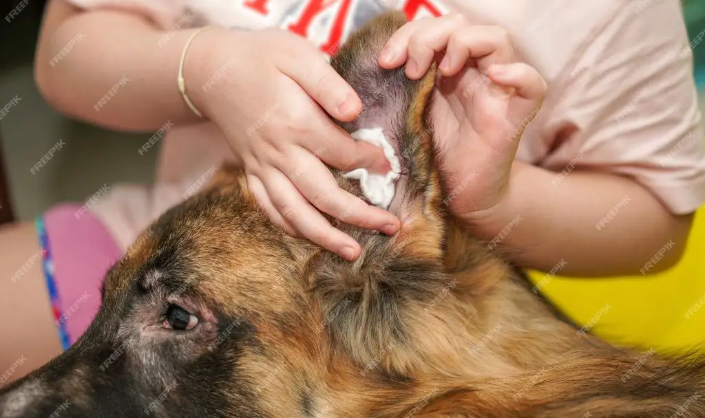 potential risks of dog ear cleaners