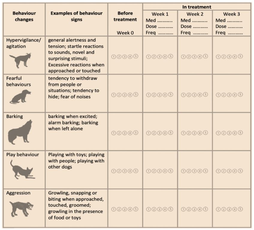 Potential Side Effects Of Prednisone In Dogs 1 