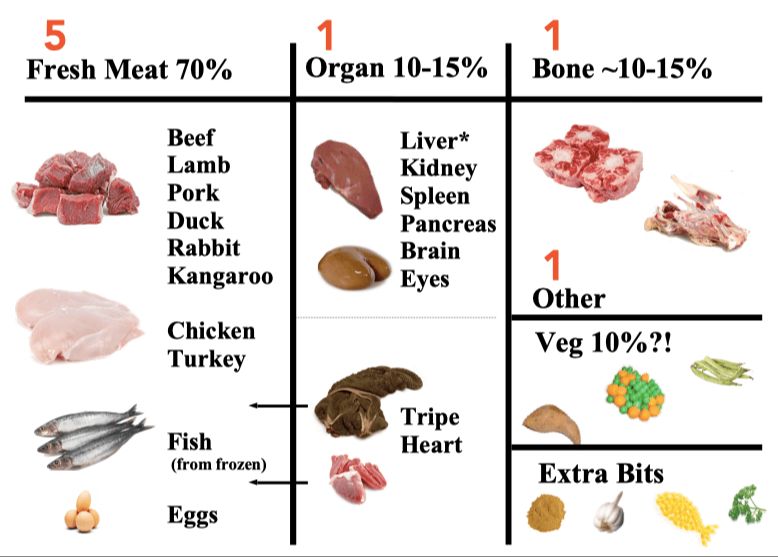 pregnant dog nutrition