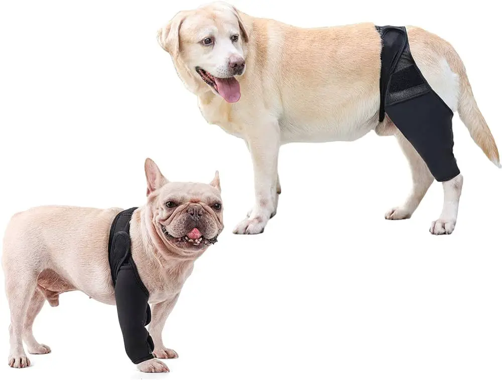 preventing dog leg injuries