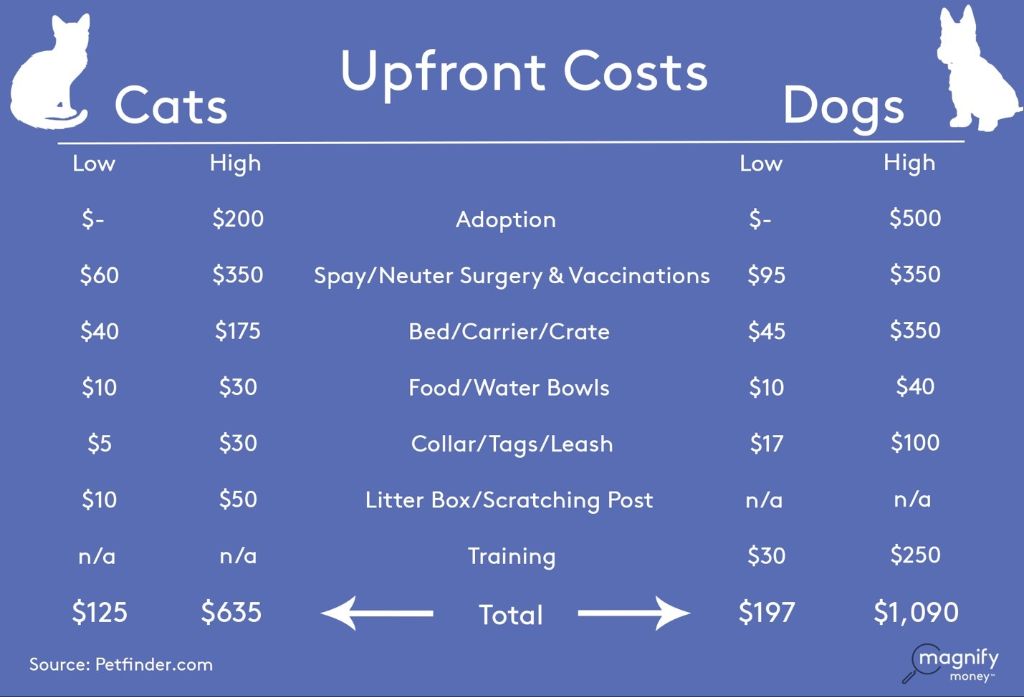 price tags showing adoption costs for cats and dogs