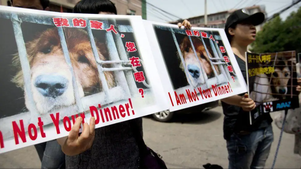 protestors holding signs outside restaurant serving dog meat