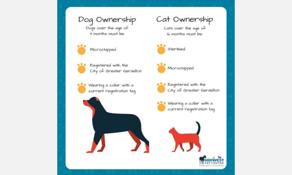 providing proper medical care is an essential part of being a responsible pet owner.